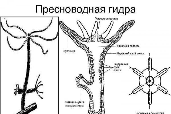 Кракен сайт наркотиков