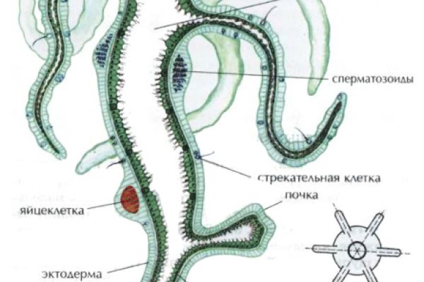 Оригинальные ссылки кракена